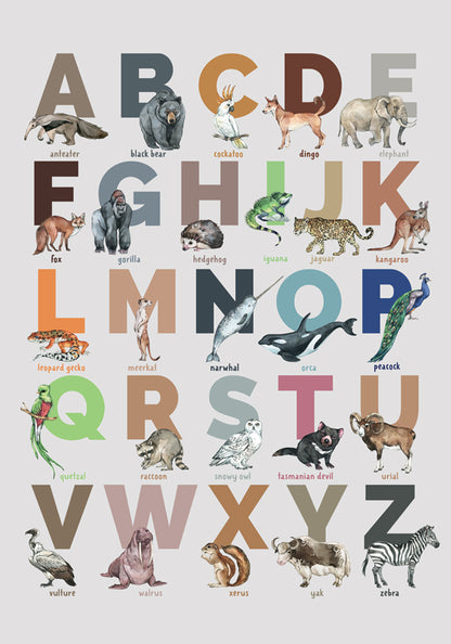 Safari Wildlife ABC Poster, Alphabet Animal Wall Art for Babies and Kids (without Frame)